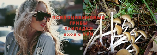 герыч Бронницы